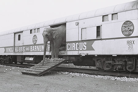 RBBB Circus Train